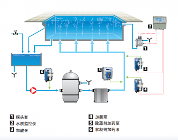 大型泳池安装图.png